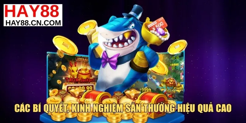 Các bí quyết, kinh nghiệm săn thưởng hiệu quả cao