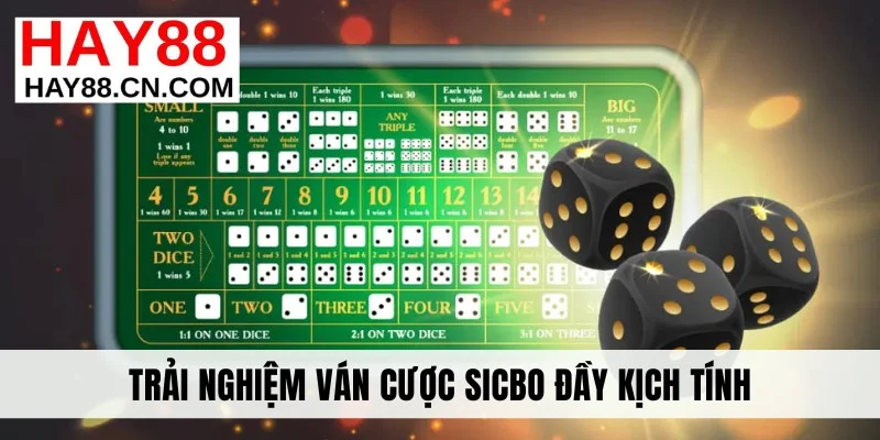 Trải nghiệm ván cược Sicbo đầy kịch tính