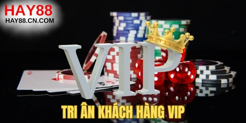 Tri ân khách hàng VIP