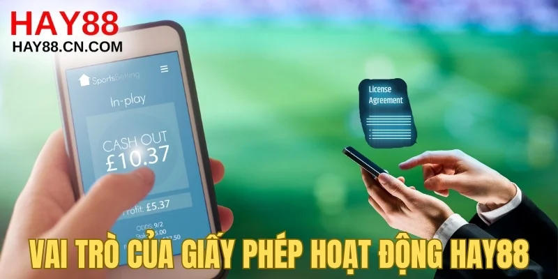 Vai trò của giấy phép hoạt động HAY88